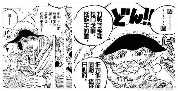 海贼王波妮的过去,超新星波妮没有遇到和平主义者