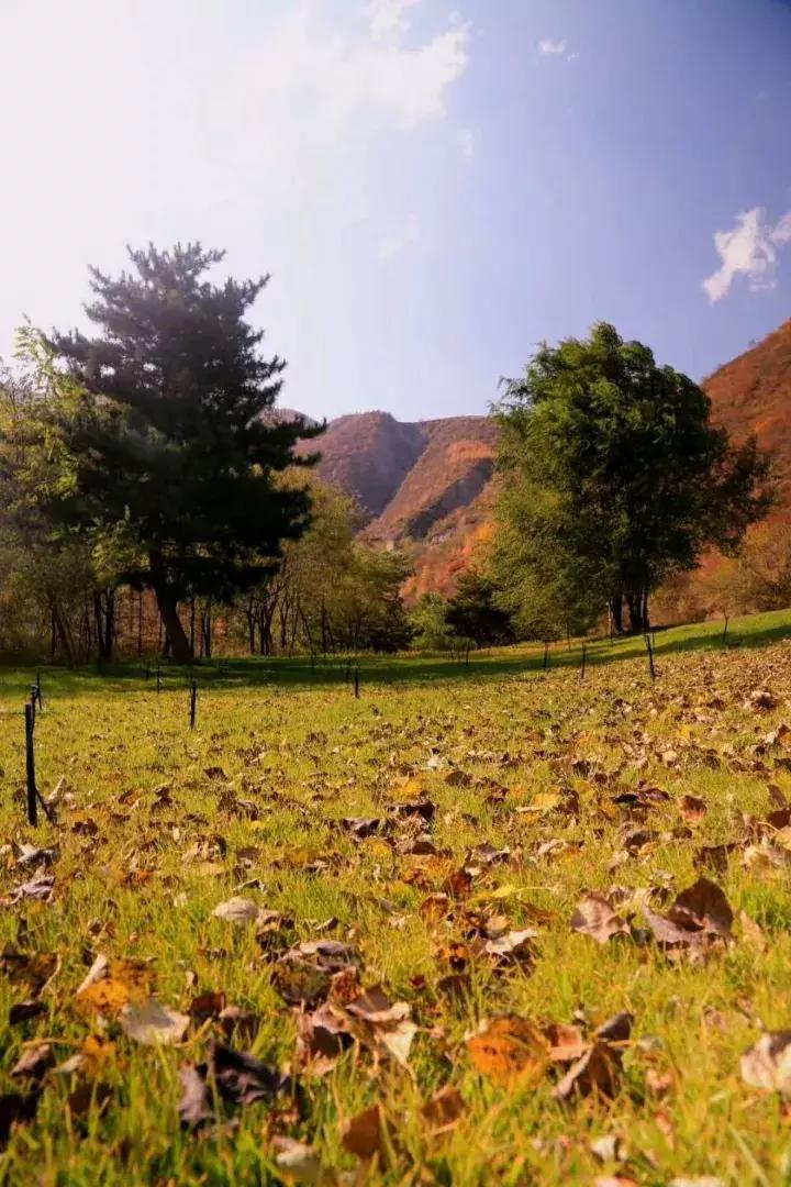大美宁夏得天独厚图片,大美宁夏山峰
