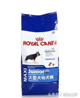 吃哪个牌子的狗粮好一点,超全狗粮测评你家狗粮选对了吗