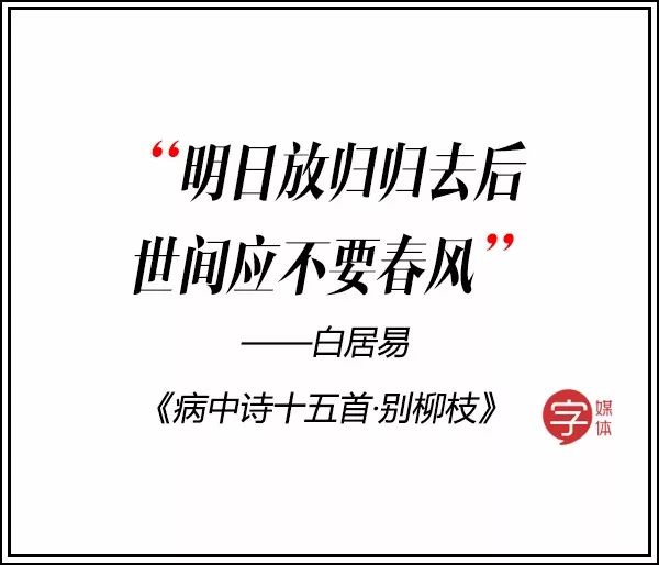 双宋cp高甜语录,双宋cp要结婚了吗