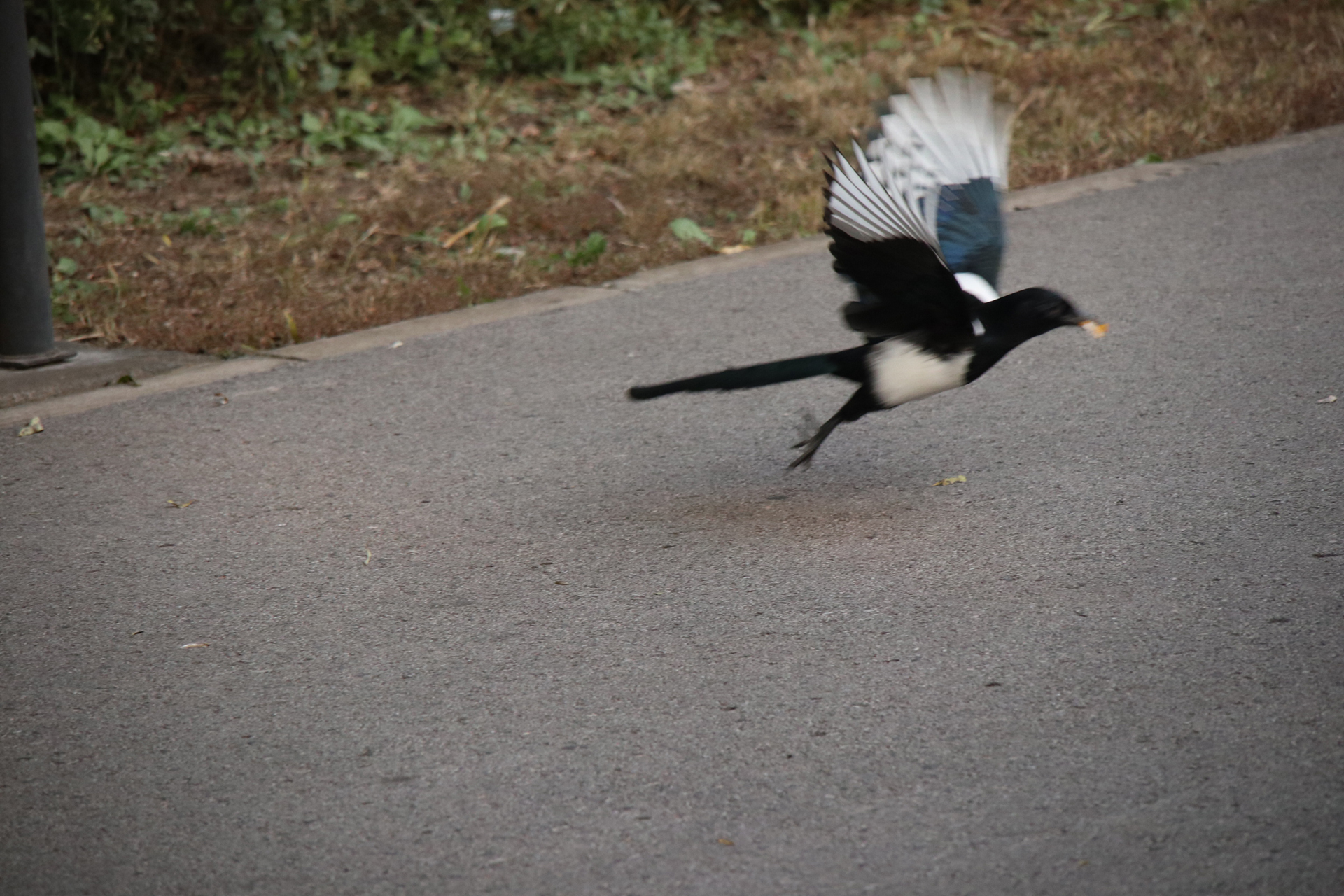 佳能eosm6二代拍照指南,佳能m6二代拍摄作品欣赏