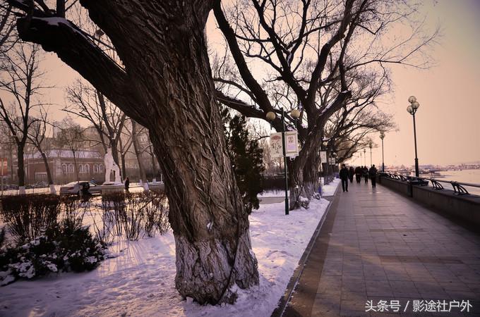 哈尔滨雾凇岛一日游,哈尔滨雪乡雾凇岛攻略