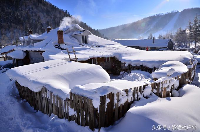 哈尔滨雾凇岛一日游,哈尔滨雪乡雾凇岛攻略