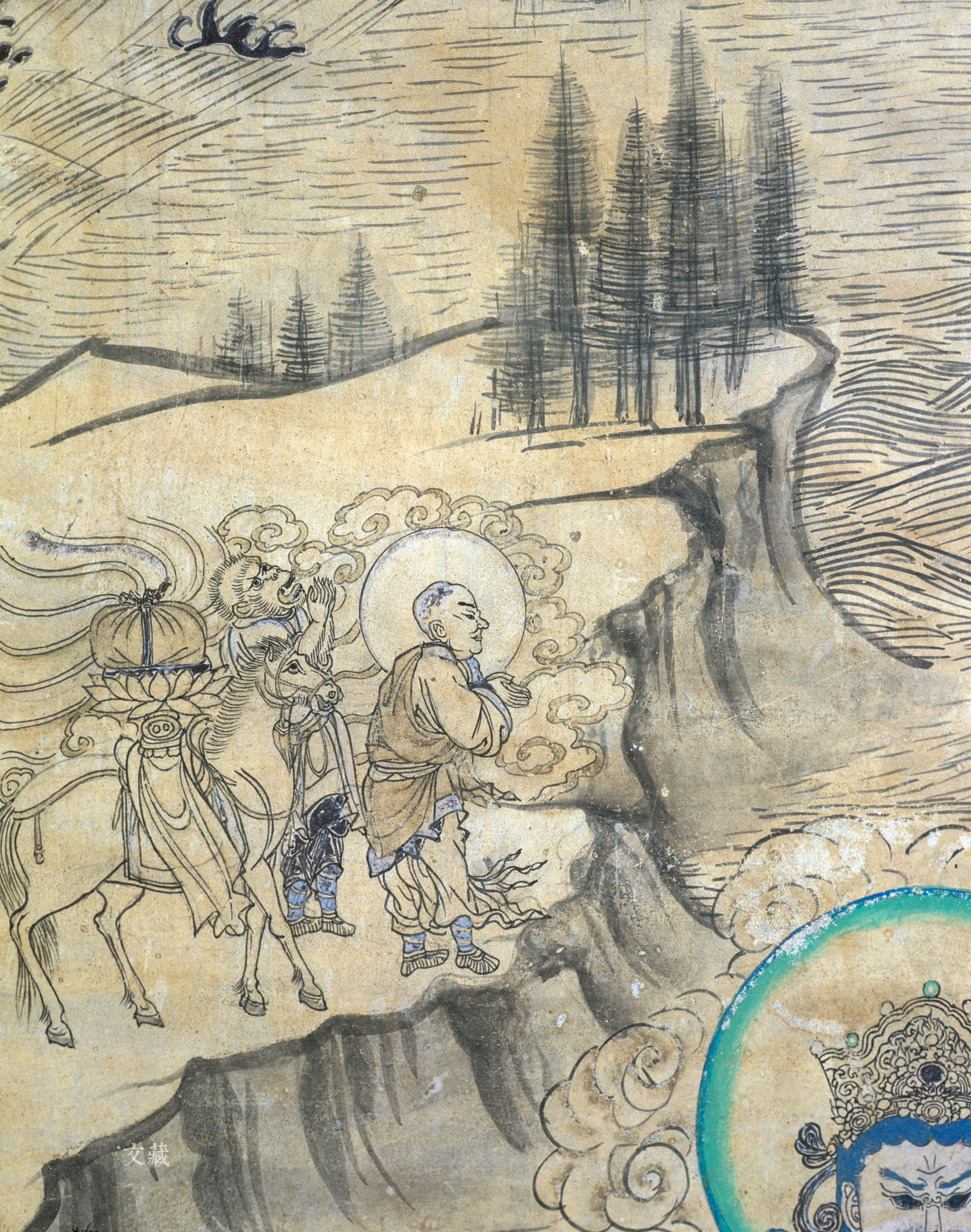 马进化,马进化了多少年