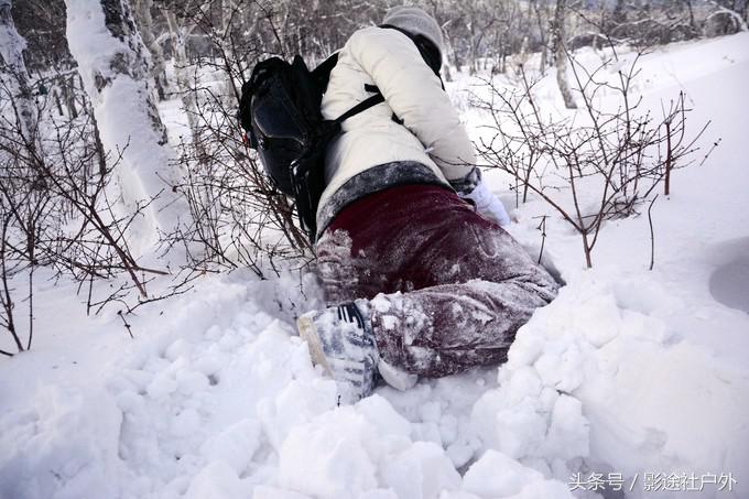 哈尔滨雾凇岛一日游,哈尔滨雪乡雾凇岛攻略