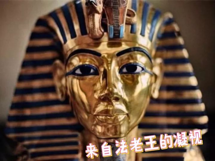 香奈儿迪奥还有什么大牌,香奈儿迪奥背后的故事