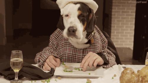 家里来客人，老爸把狗狗的零食拿出去招待，我至今没有敢说实话