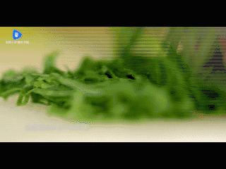 嘉和一品粥与嘉和一品的区别,嘉和一品冰粥外卖