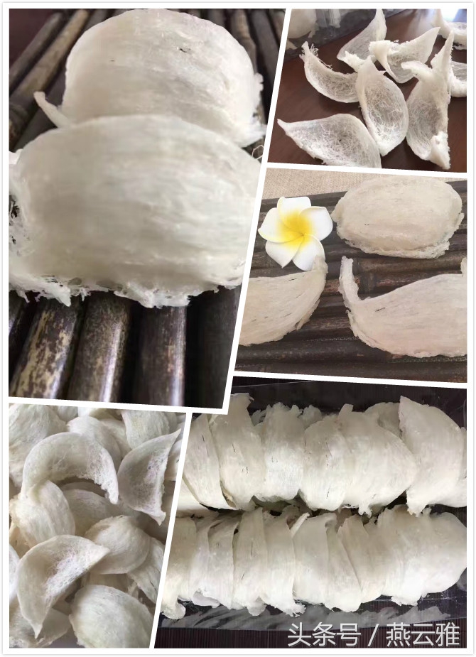 燕窝等级:4A5A6A哪种才是好燕窝?