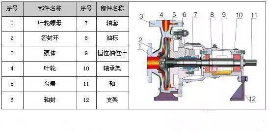 小型氧气泵内部结构图,泵内部照片