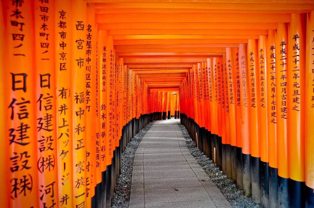 全家出游哪种旅行方式最合适,全家游怎么样游好