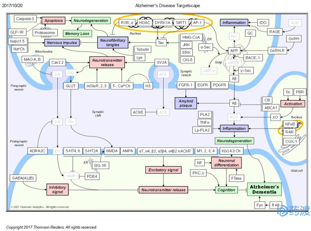 寒冬中的勃勃生机,阿尔茨海默病新药进展