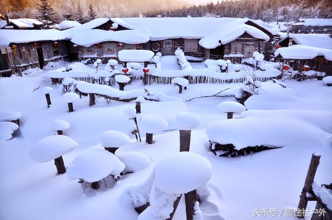 哈尔滨雾凇岛一日游,哈尔滨雪乡雾凇岛攻略