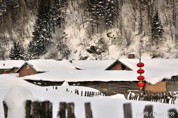 哈尔滨雾凇岛一日游,哈尔滨雪乡雾凇岛攻略