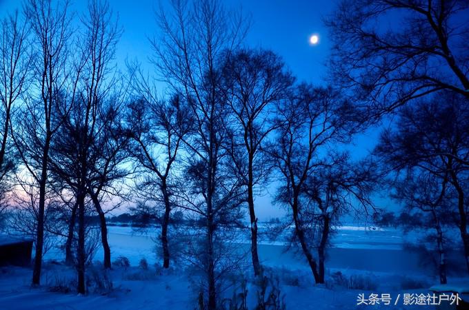 哈尔滨雾凇岛一日游,哈尔滨雪乡雾凇岛攻略