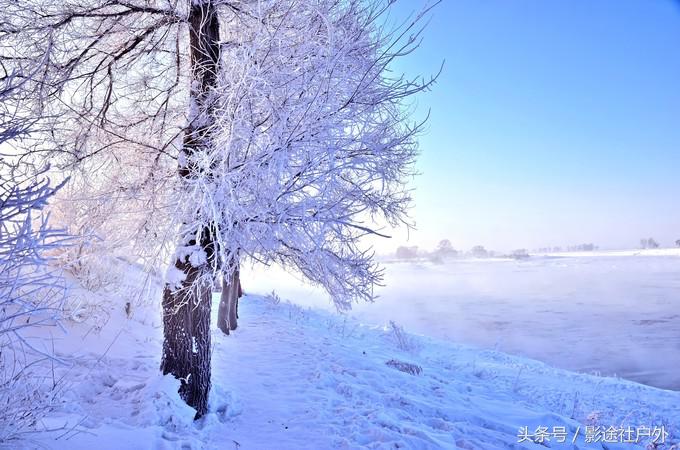 哈尔滨雾凇岛一日游,哈尔滨雪乡雾凇岛攻略