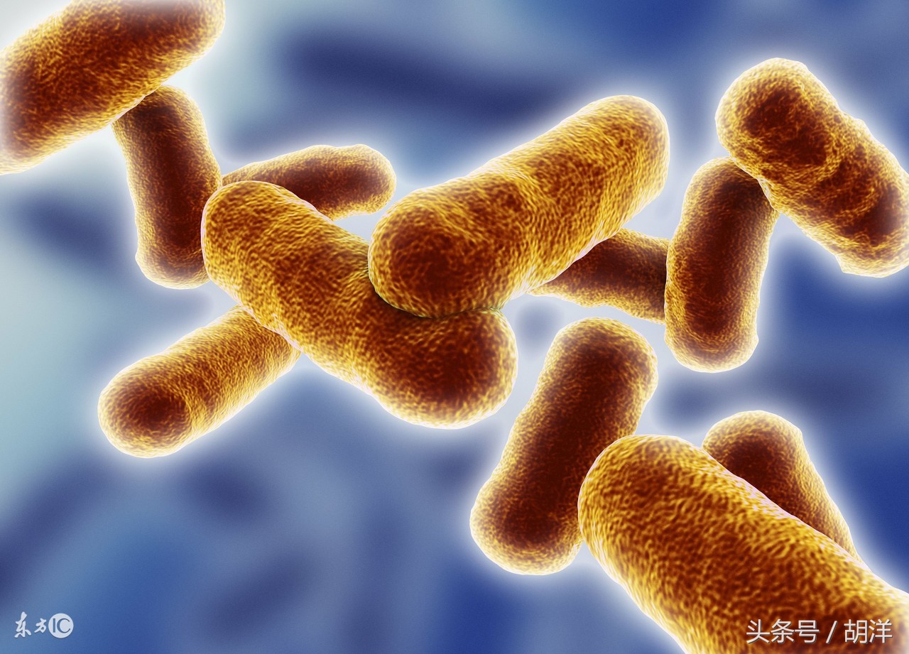 肺部肉芽肿和肿瘤几率各一半,肺上长脓包是个严重的病吗