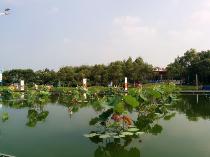 花果山游记400字以上,连云港花果山攻略