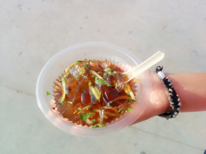 花果山游记400字以上,连云港花果山攻略