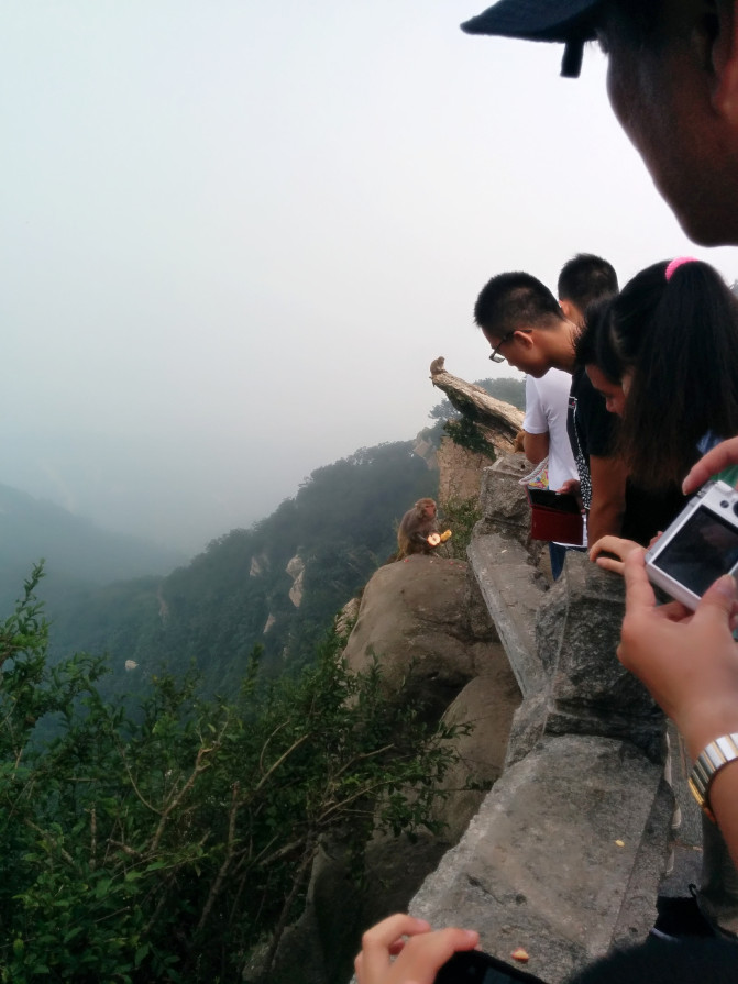 花果山游记400字以上,连云港花果山攻略