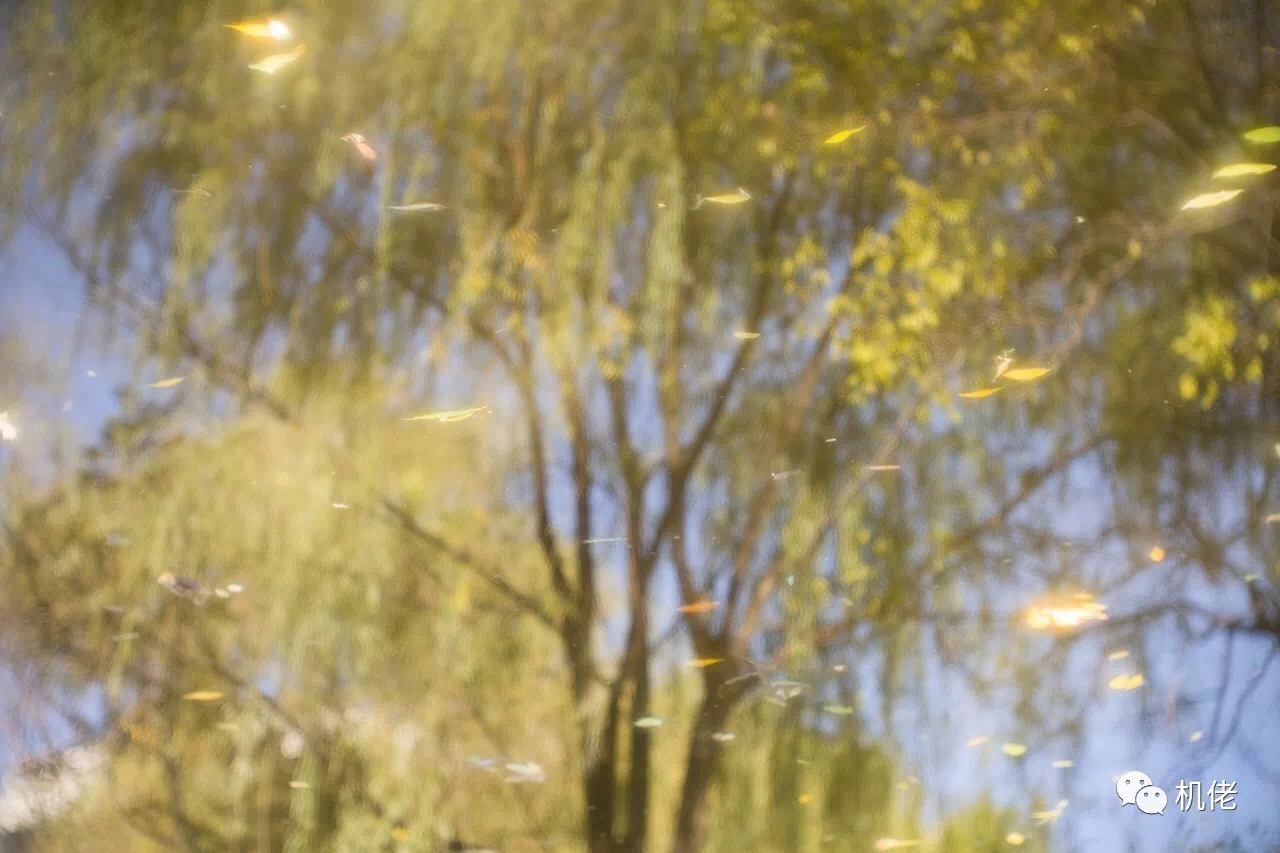 徕卡最顶级的m90镜头,徕卡90镜头展示