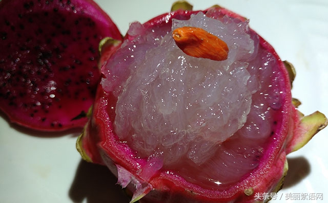 燕窝怎么炖学会这些小细节，炖出一碗美味燕窝不是问题