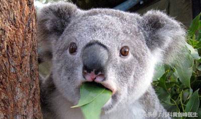 宝宝脸上白点外面一圈黑,宝宝脸上有白点是有虫子吗