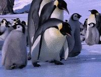 jeep自由光2.0的车有什么优缺点,两驱和四驱百公里加速多少