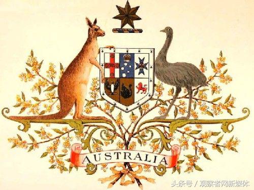 澳大利亚中国吃货,澳大利亚卖中国美食