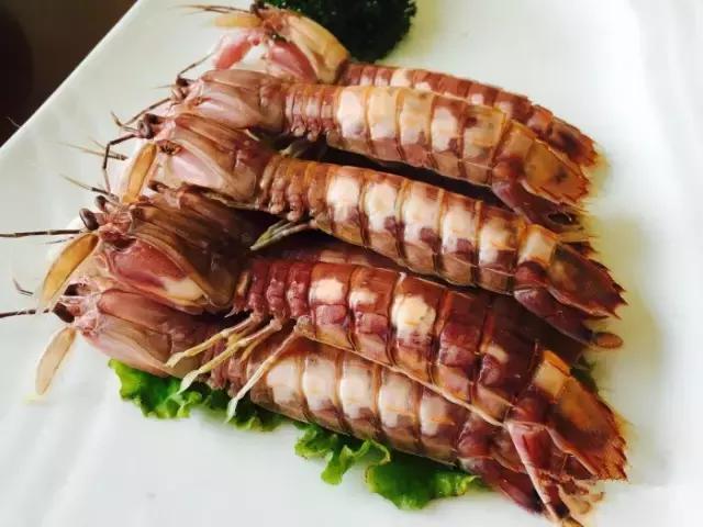 宁波漂亮的渔村,宁波最美村庄排行