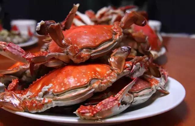 宁波漂亮的渔村,宁波最美村庄排行