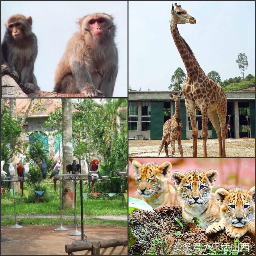 厉害了我的太原,厉害了我的太原机场