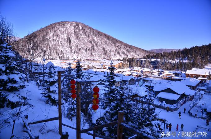 哈尔滨雾凇岛一日游,哈尔滨雪乡雾凇岛攻略