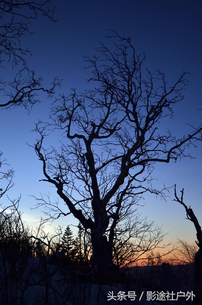 哈尔滨雾凇岛一日游,哈尔滨雪乡雾凇岛攻略