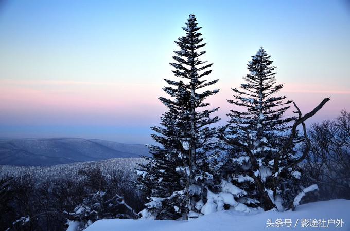 哈尔滨雾凇岛一日游,哈尔滨雪乡雾凇岛攻略