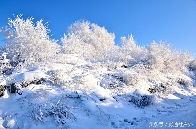 哈尔滨雾凇岛一日游,哈尔滨雪乡雾凇岛攻略