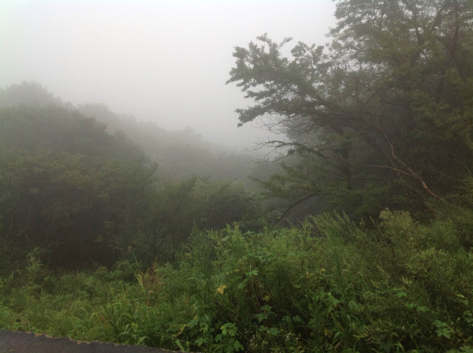 花果山游记400字以上,连云港花果山攻略