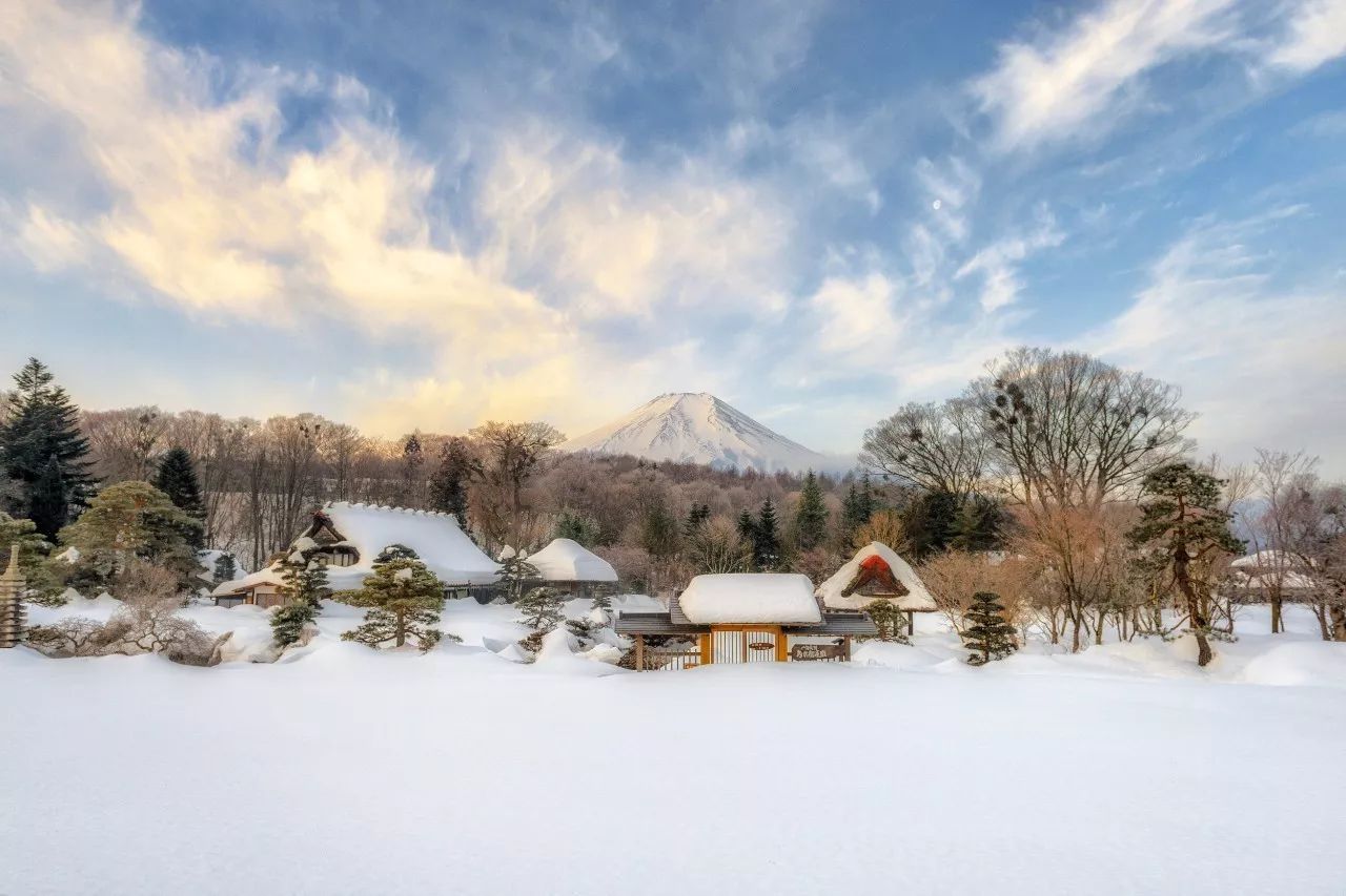全家出游哪种旅行方式最合适,全家游怎么样游好