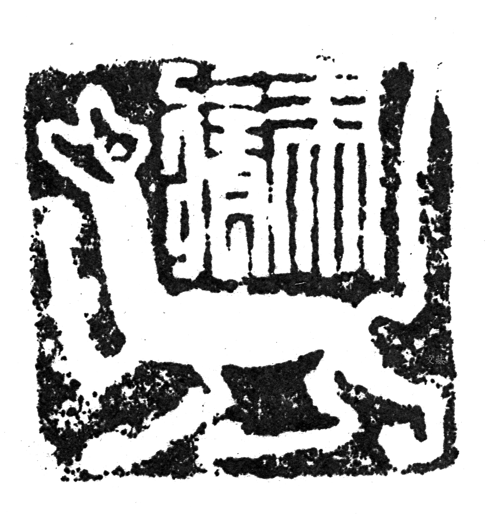 马进化,马进化了多少年