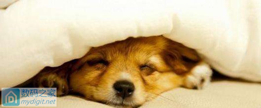 淋浴阀芯漏水怎么修视频,淋浴花洒阀芯漏水如何维修