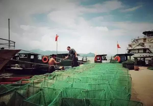 宁波漂亮的渔村,宁波最美村庄排行