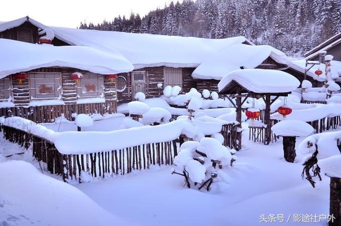 哈尔滨雾凇岛一日游,哈尔滨雪乡雾凇岛攻略