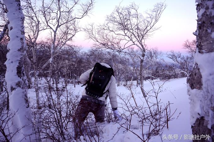 哈尔滨雾凇岛一日游,哈尔滨雪乡雾凇岛攻略