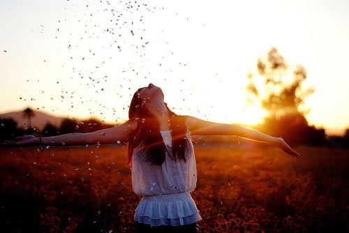 当爱情来临时一切都是最好的安排,当爱情来临时你会做什么