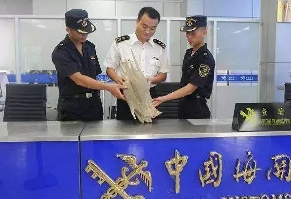 未来五年南京交通出行将有新变化,南京交通变化