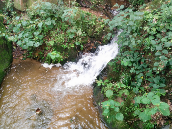 花果山游记400字以上,连云港花果山攻略