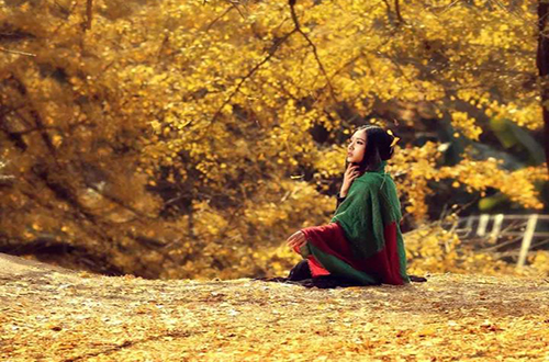 缘分只是一朵花开的瞬间,缘分如同一场梦