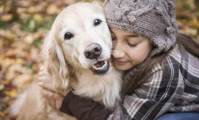 比熊狗狗会发抖是什么原因,比熊狗狗发抖是什么原因