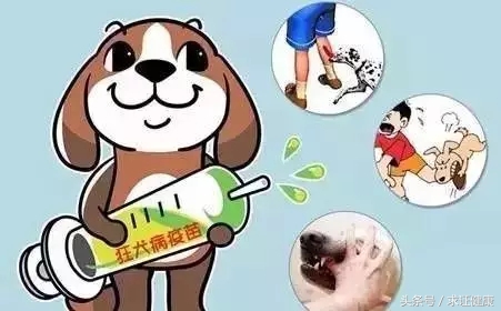 打了疫苗一定不死吗,打了疫苗就不得犬瘟吗