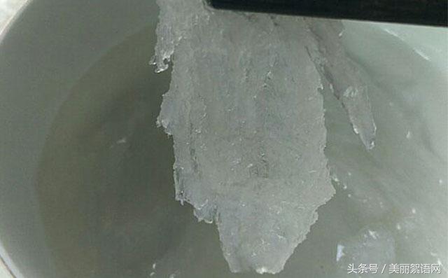 燕窝怎么炖学会这些小细节，炖出一碗美味燕窝不是问题